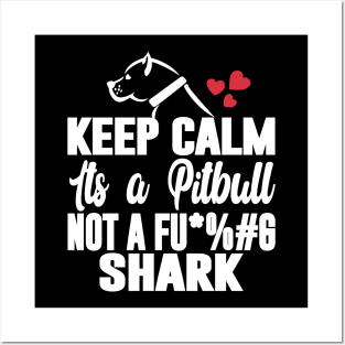 Keep Calm its a Pitbull T-Shirt Posters and Art